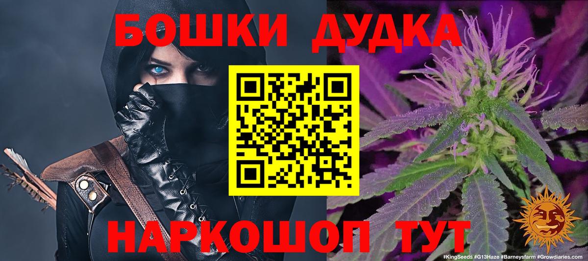 Шишки марихуана план  Вход с VPN  Шишки марихуана тримм  Аша 